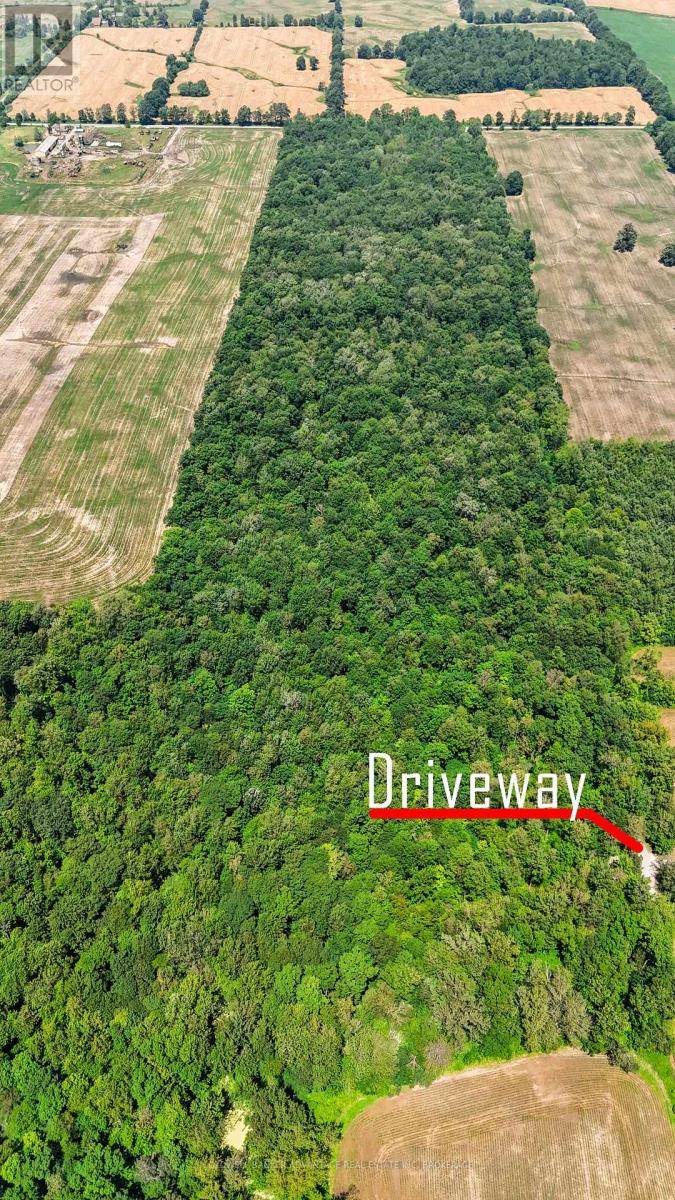 Wainfleet (marshville/winger), ON L0R2J0,73325 HENDERSON ROAD