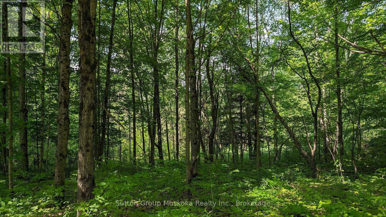 Lake Of Bays (sinclair), ON P1H2E5,LOT 2 TALLY-HO WINTER PARK ROAD