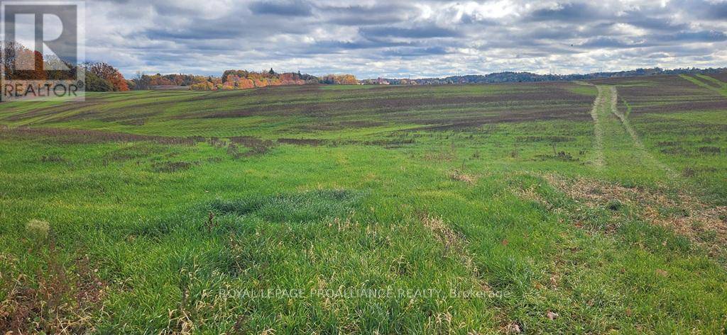 Cramahe, ON K0K3K0,0 MITCHELL ROAD