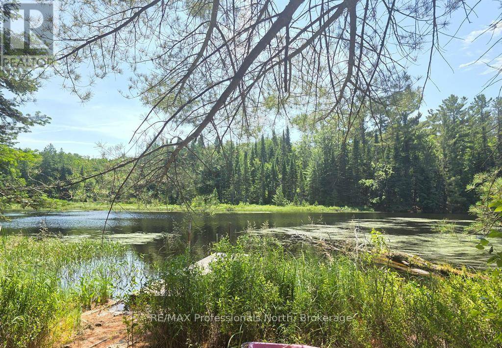 Algonquin Highlands (stanhope), ON K0M1S0,1134 WALKERS LINE ROAD