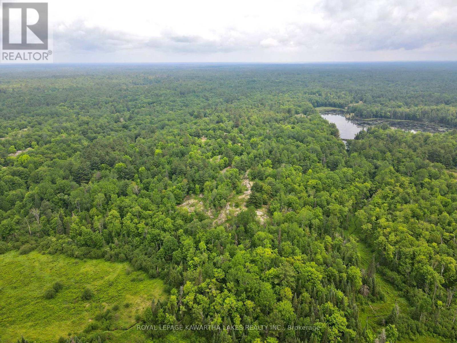 Kawartha Lakes, ON L0K2B0,0 BLACK RIVER ROAD