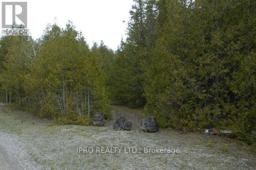 Northern Bruce Peninsula, ON N0H1W0,308 IRA LAKE ROAD