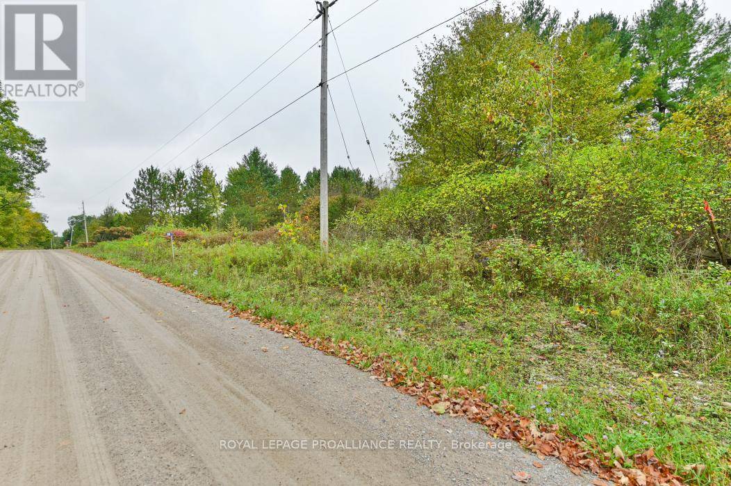 Tweed (hungerford (twp)), ON K0K3J0,88 CONCHIE ROAD