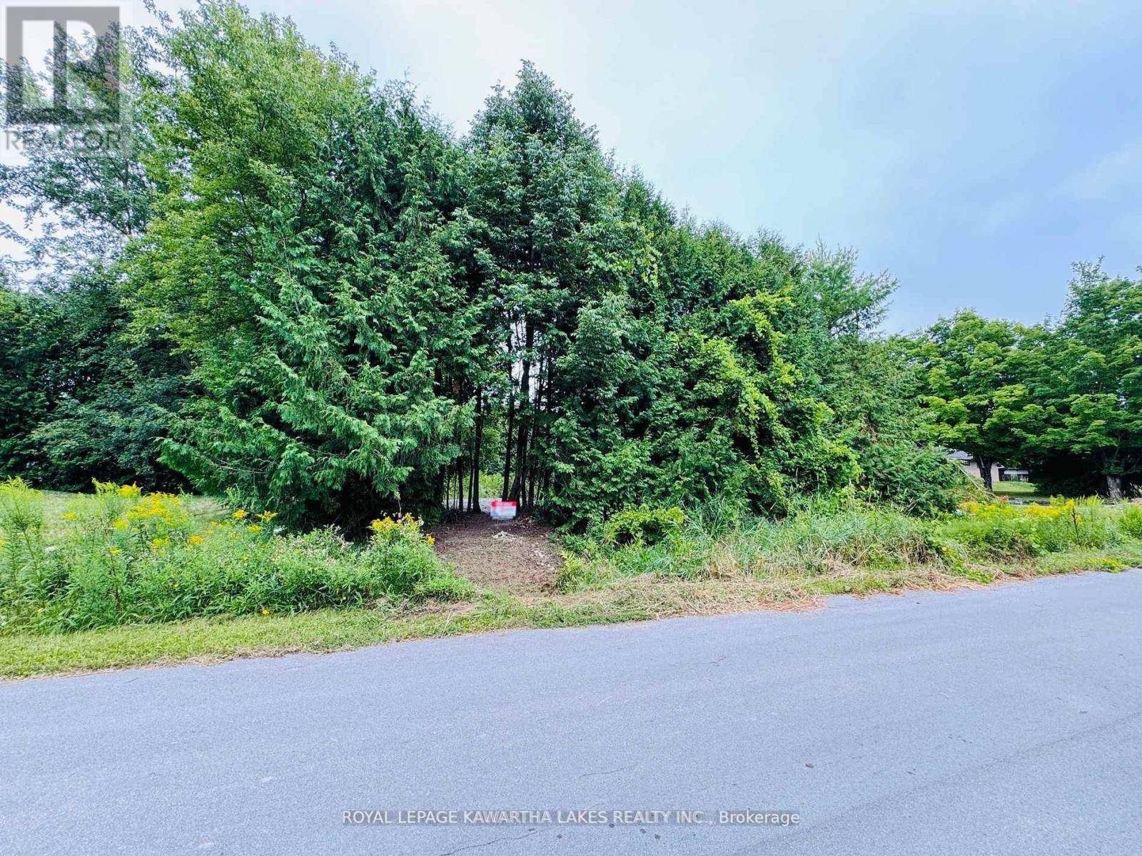 Kawartha Lakes (laxton/digby/longford), ON K0M2L0,LT 34 COCKBURN STREET