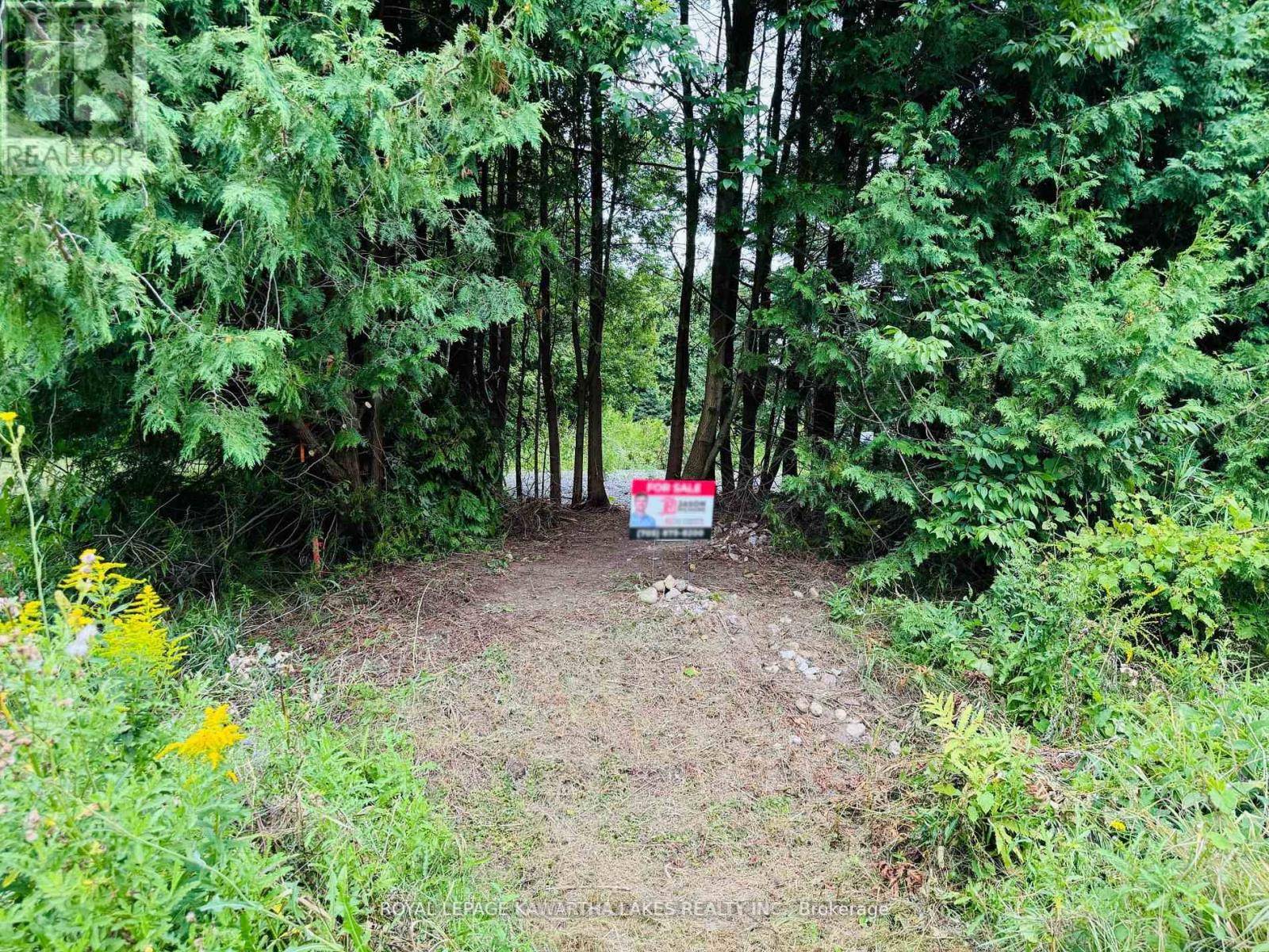 Kawartha Lakes (laxton/digby/longford), ON K0M2L0,LT 34 COCKBURN STREET