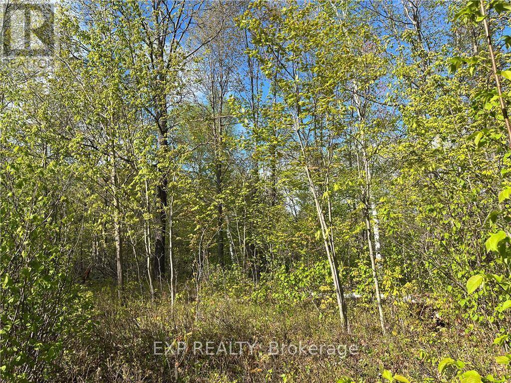 Madawaska Valley, ON K0J1B0,LOT 6 CASSON TRAIL