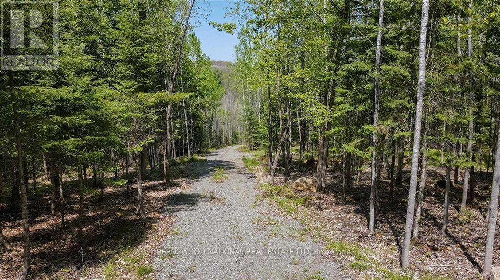 Madawaska Valley, ON K0J1L0,38986A COMBERMERE ROAD