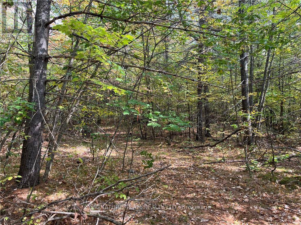 Bonnechere Valley, ON K0J1T0,0 CONSTANT LAKE ROAD