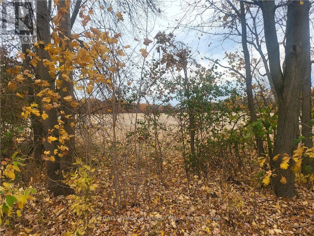 Rideau Lakes, ON K0G1E0,LOT 2 BUSH ROAD