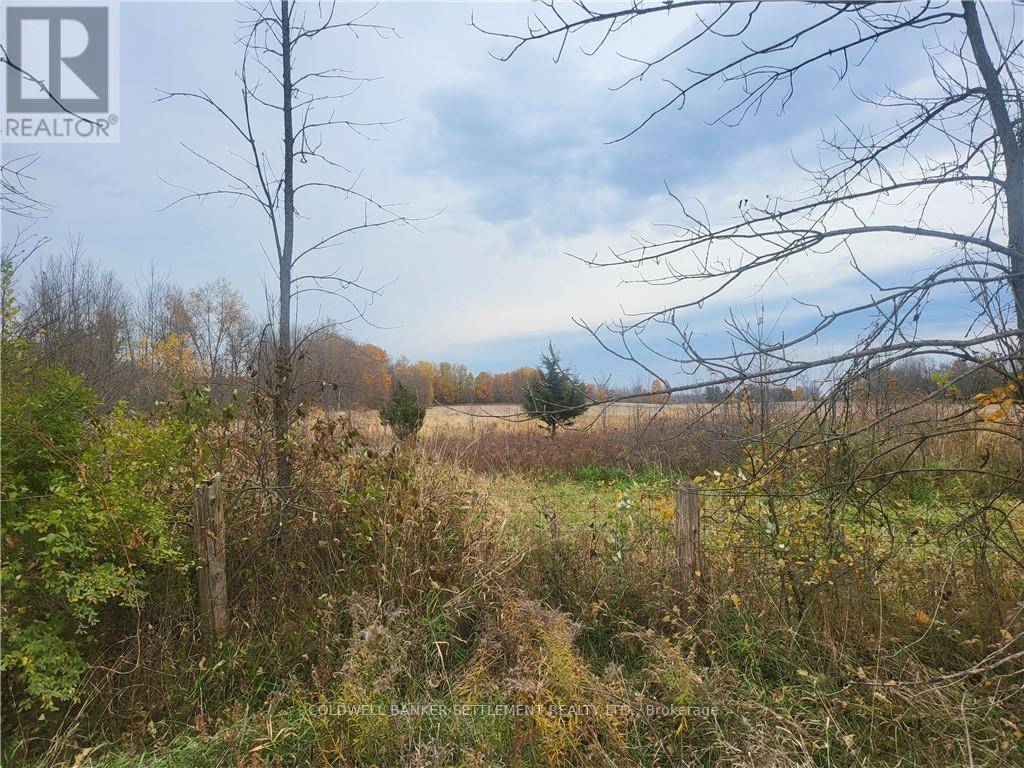 Rideau Lakes, ON K0G1E0,LOT 5 BUSH ROAD