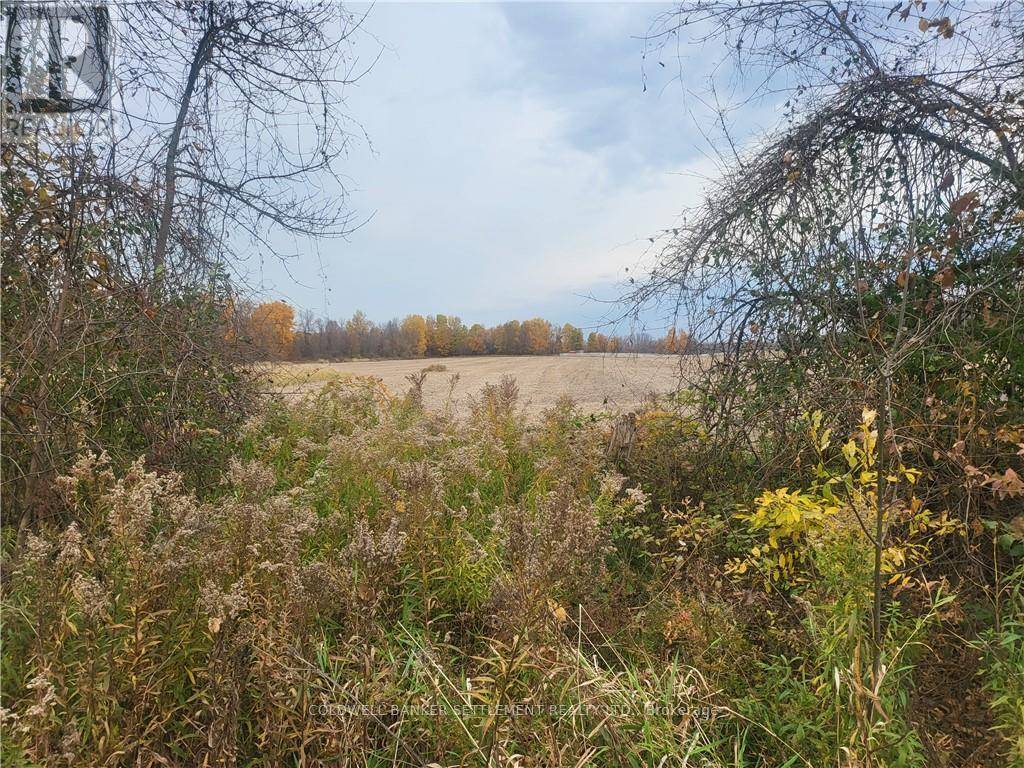 Rideau Lakes, ON K0G1E0,LOT 5 BUSH ROAD