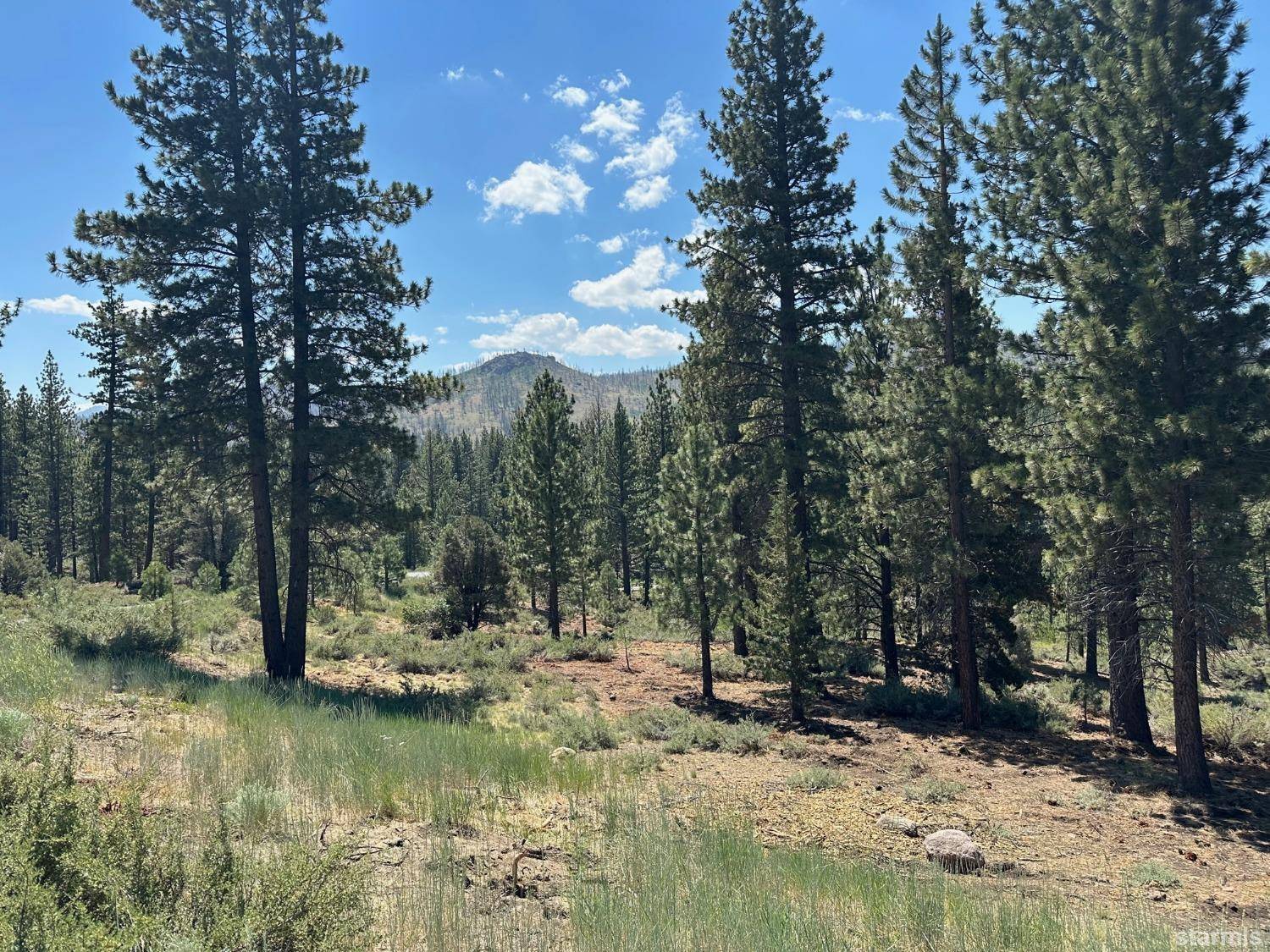 Markleeville, CA 96120,2 Raymond View Road