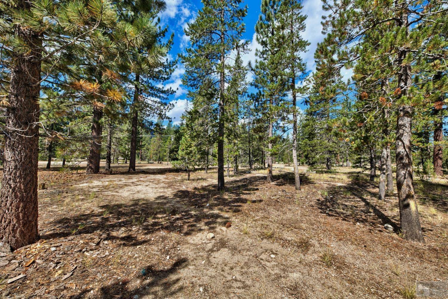 South Lake Tahoe, CA 96150,2504 Blitzen Road