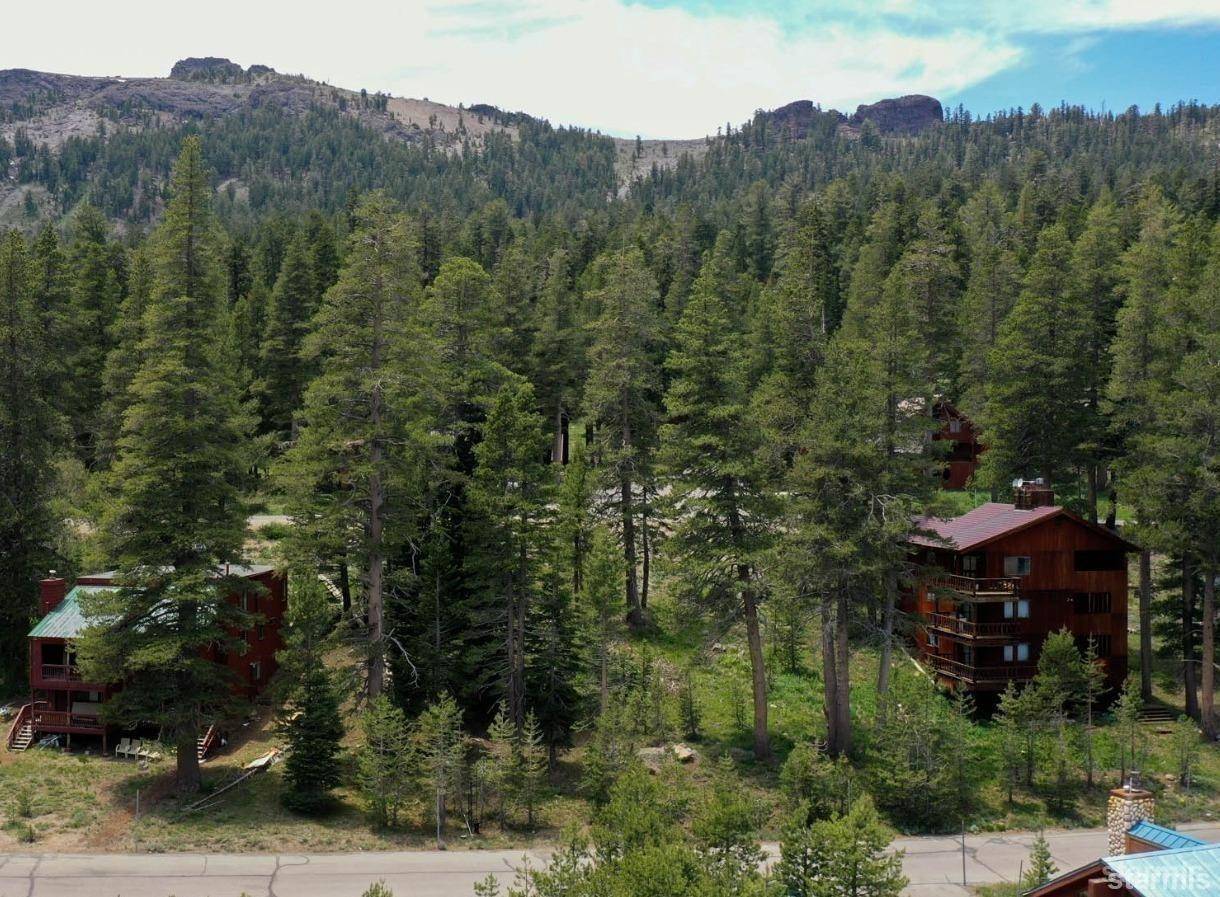 Kirkwood, CA 95646,33839 Hawkweed Way