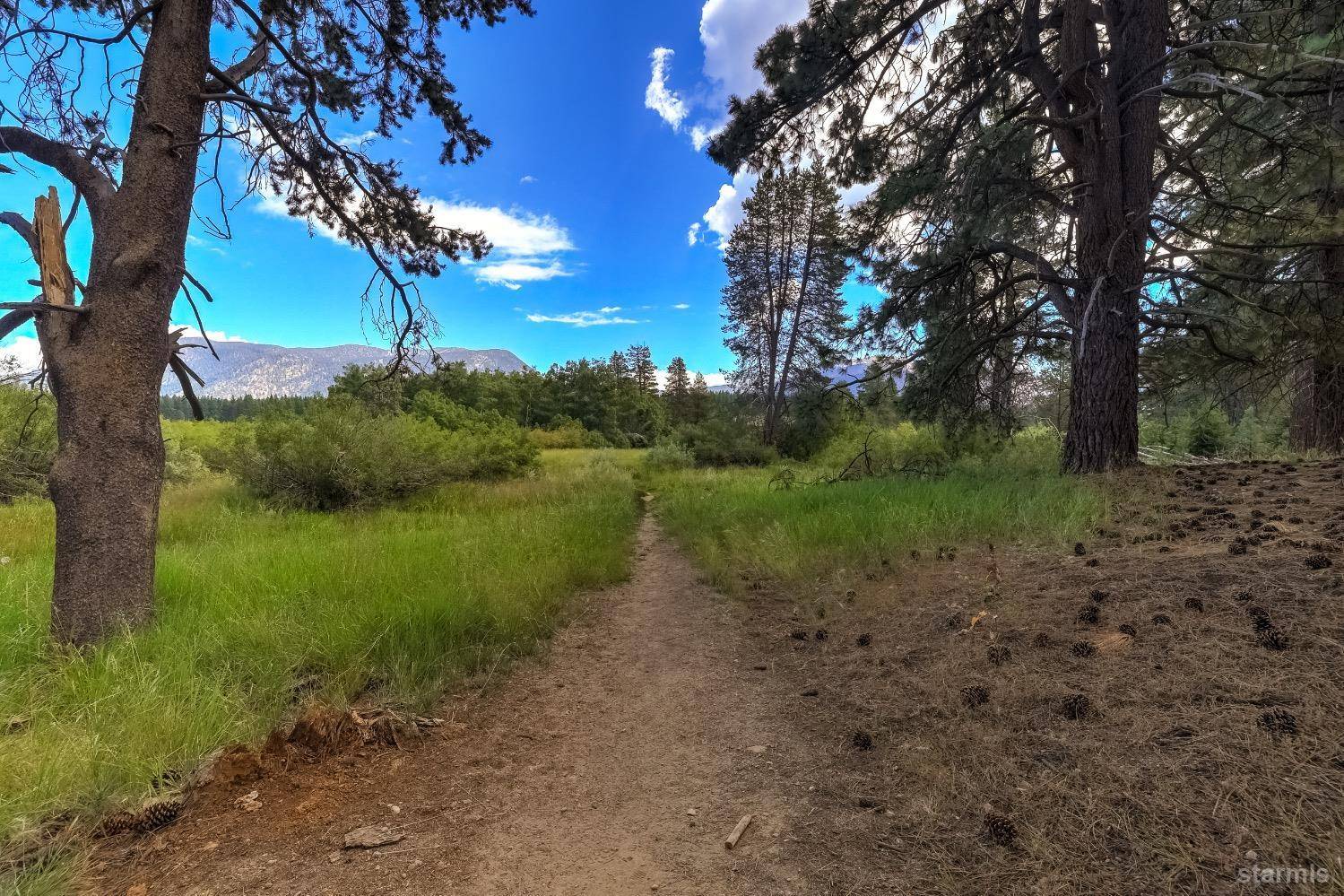 South Lake Tahoe, CA 96150,1164 Winnemucca Avenue