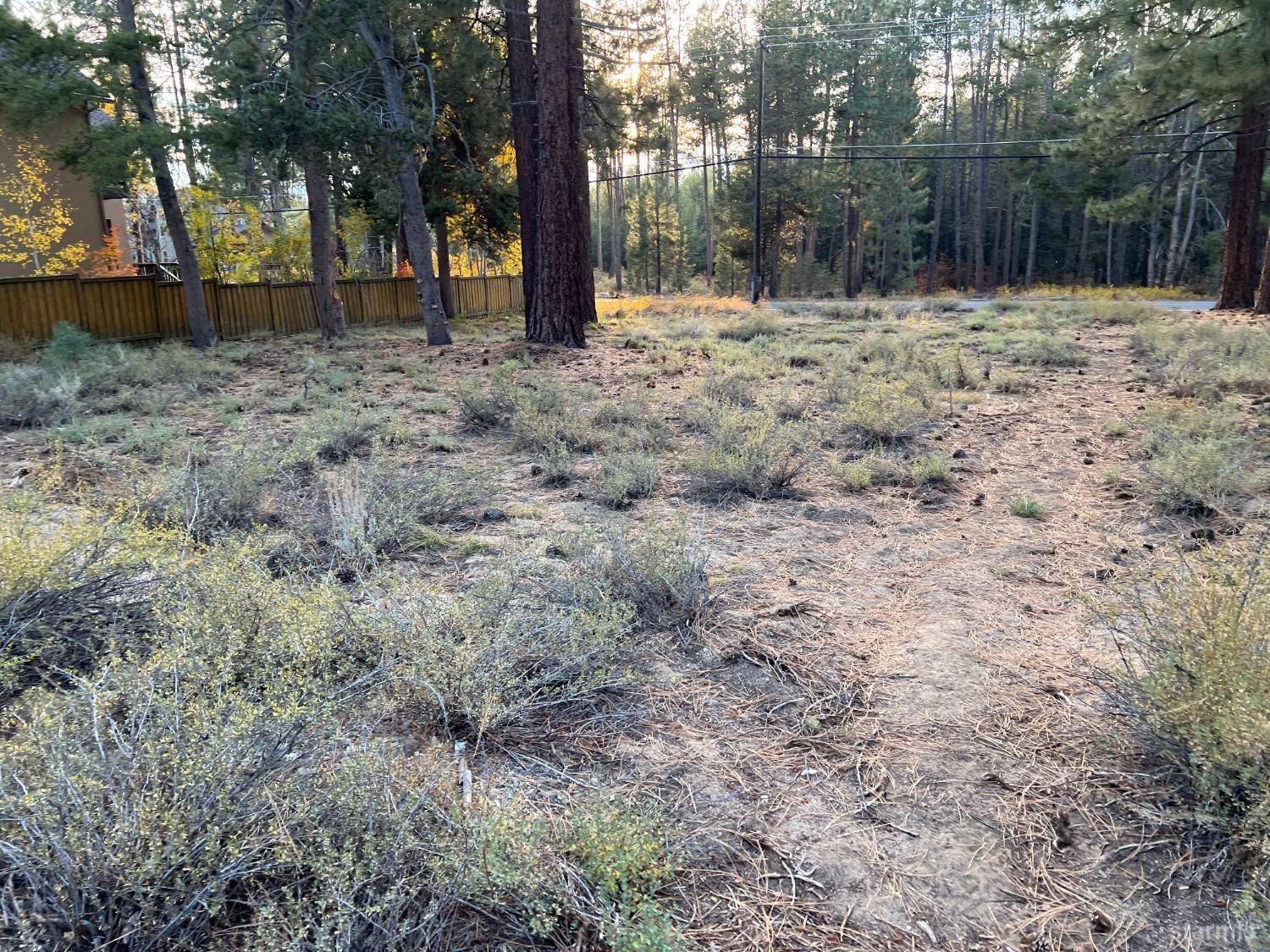 South Lake Tahoe, CA 96150,1272 Gilmore Lake Road