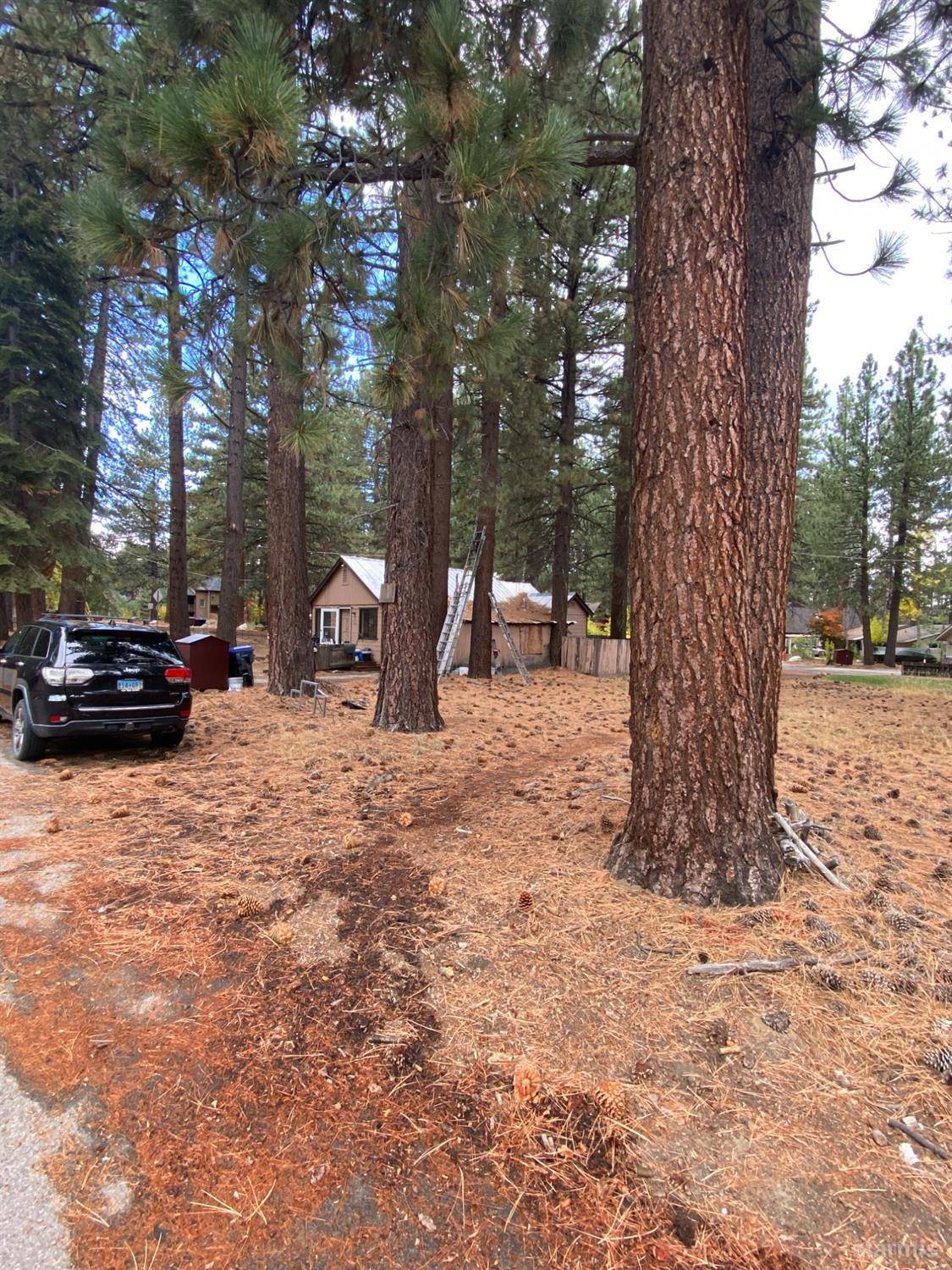 South Lake Tahoe, CA 96150,1153 Omalley Drive