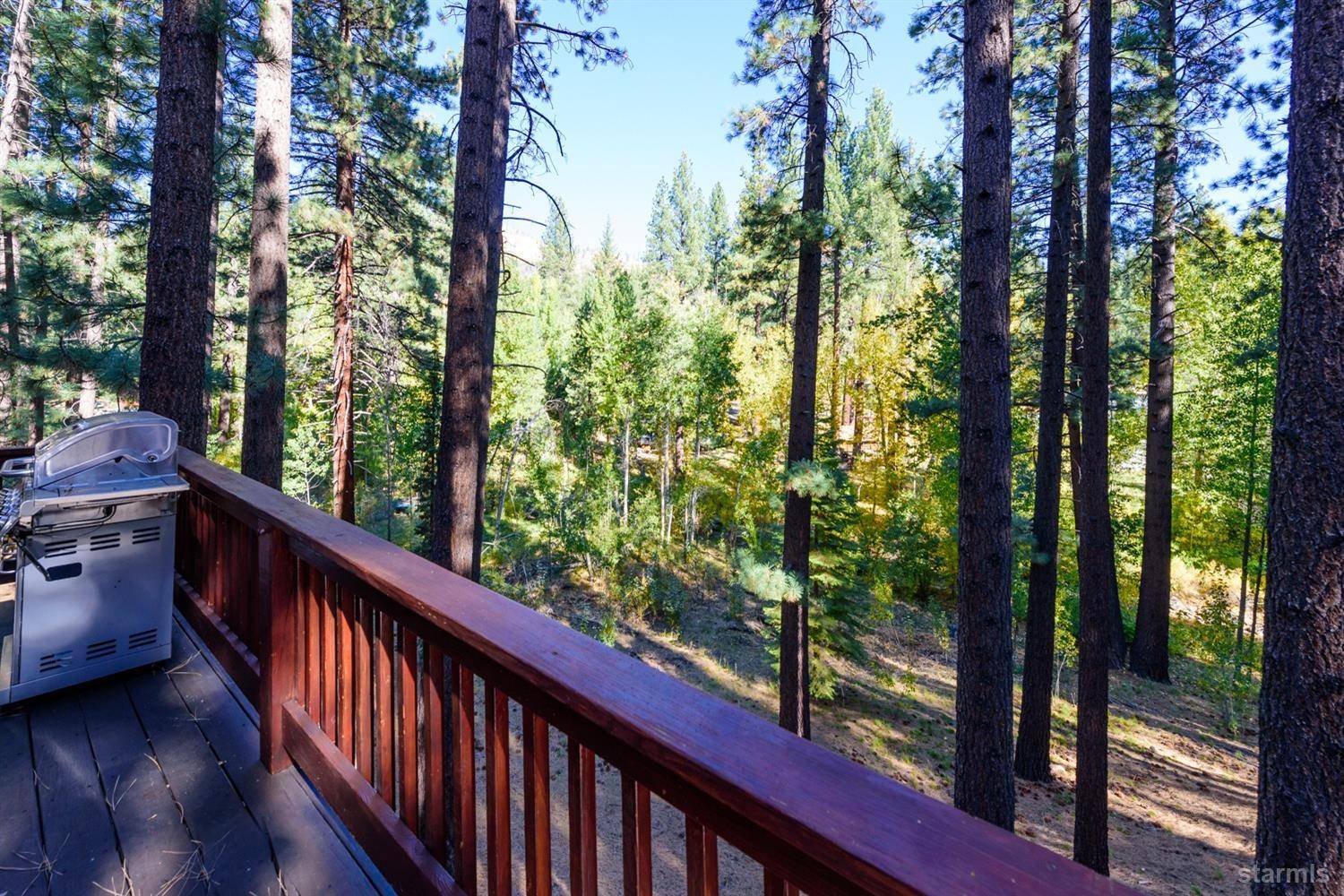 Markleeville, CA 96120,100 Timber Lane