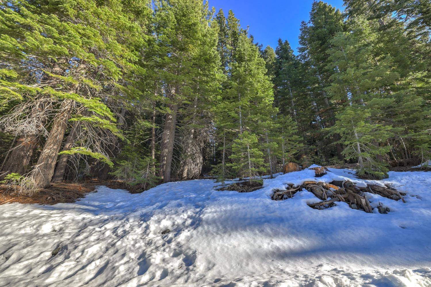 South Lake Tahoe, CA 96150,1607 Southern Pines Drive