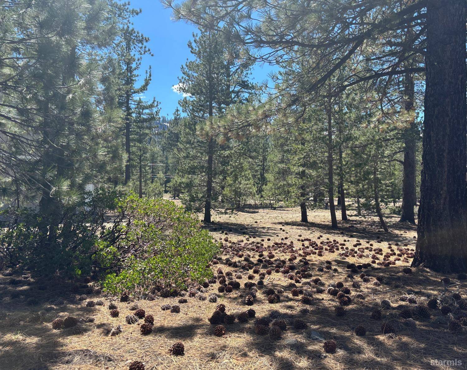 South Lake Tahoe, CA 96150,2510 Blitzen Road