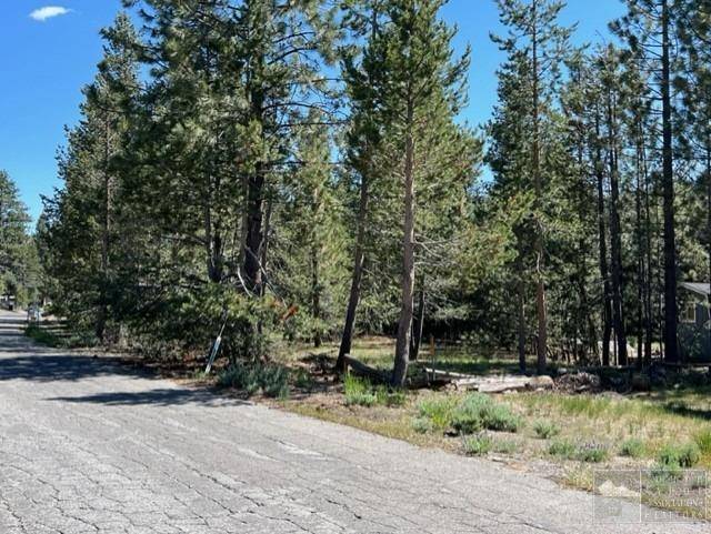 South Lake Tahoe, CA 96150,2263 Blitzen Road
