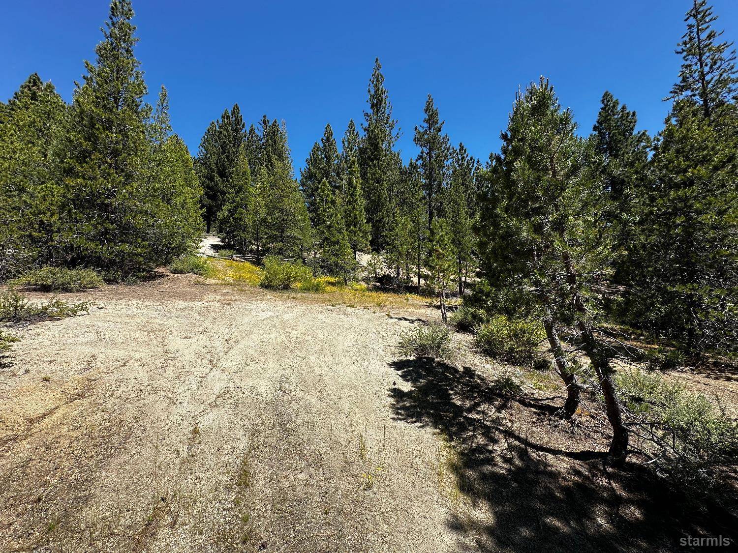 South Lake Tahoe, CA 96150,1940 US Highway 50