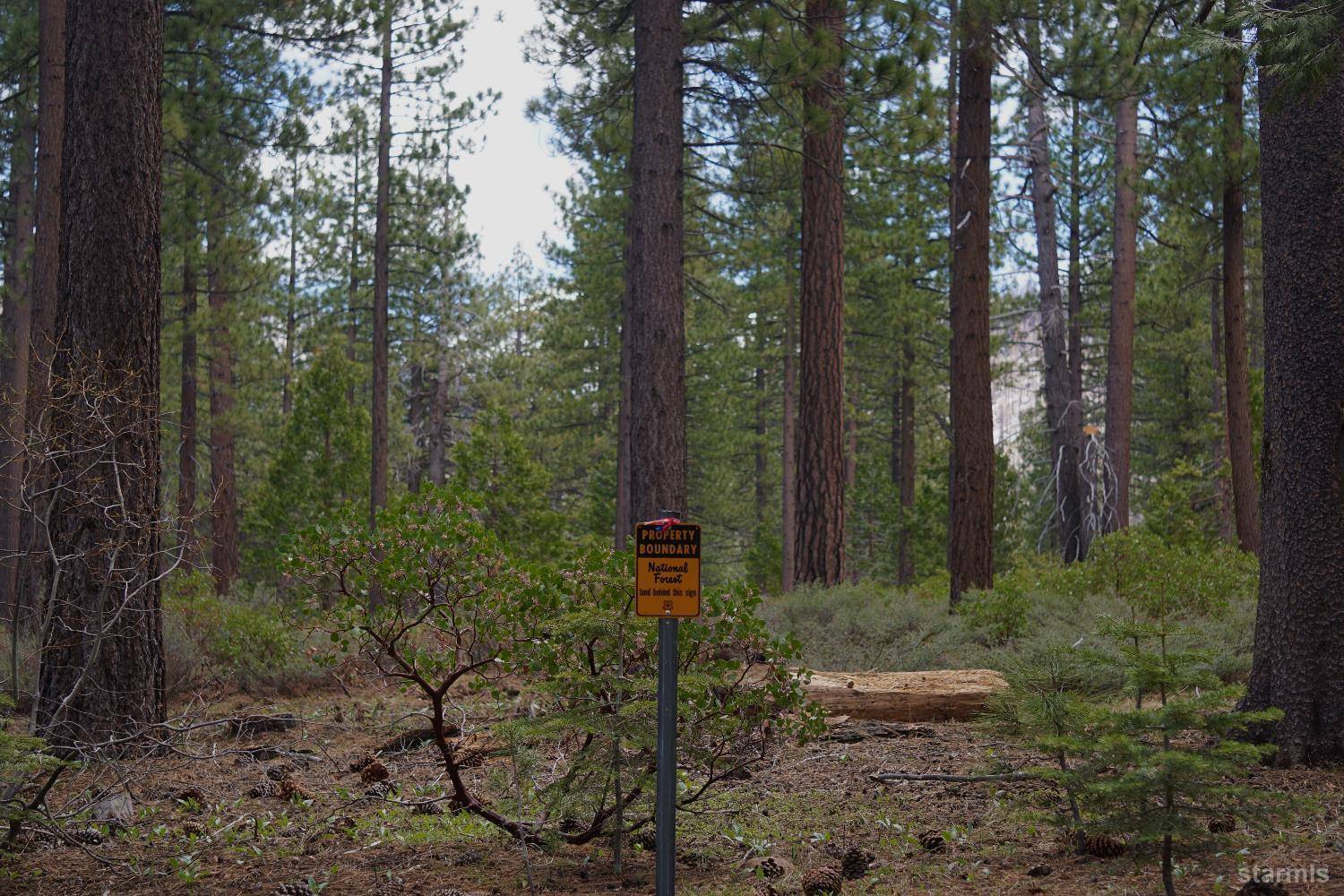 South Lake Tahoe, CA 96150,1548 Iroquois Circle