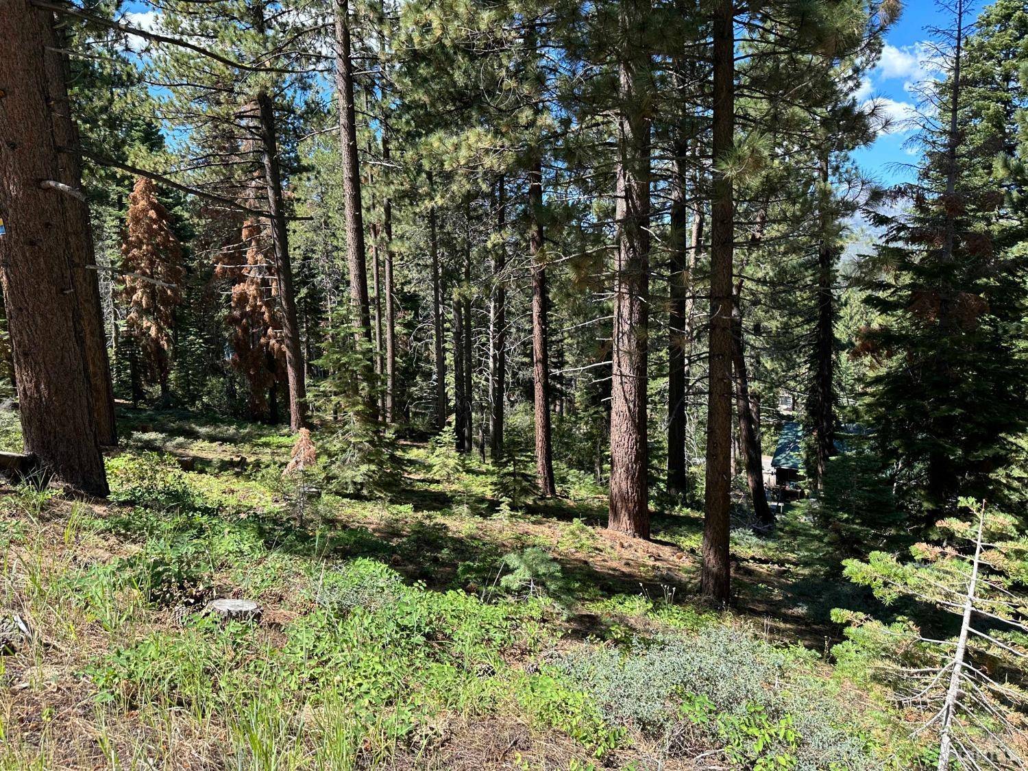 South Lake Tahoe, CA 96150,1450 Skyline Drive