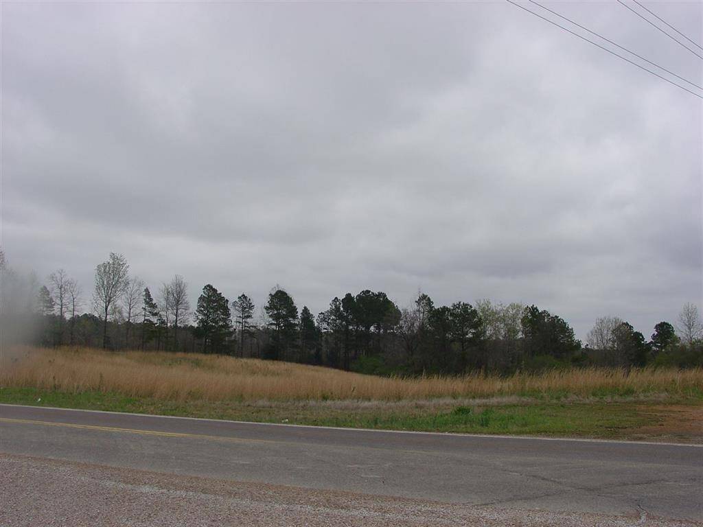 Counce, TN 38326-3621,10785 HWY 57 HWY