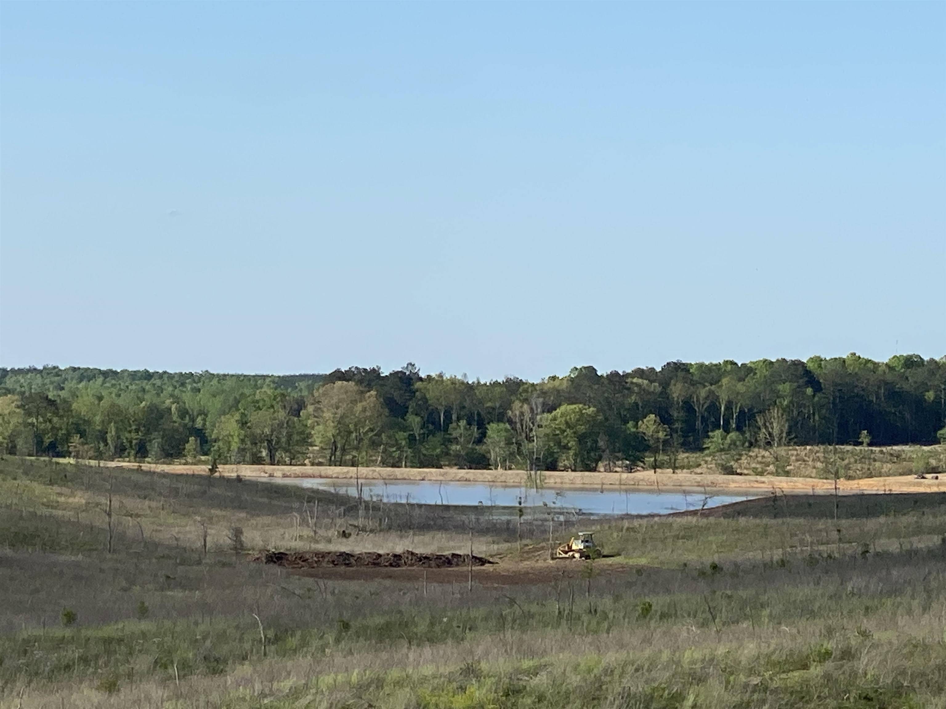 Bethel Springs, TN 38315,0 OTIS PAINE RD