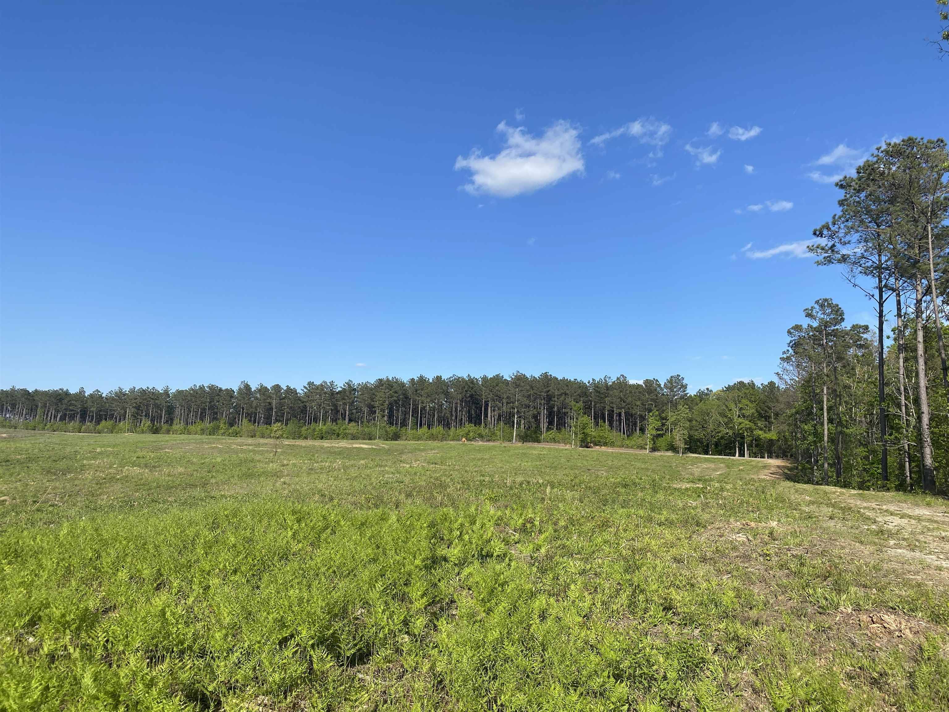 Bethel Springs, TN 38315,0 OTIS PAINE RD