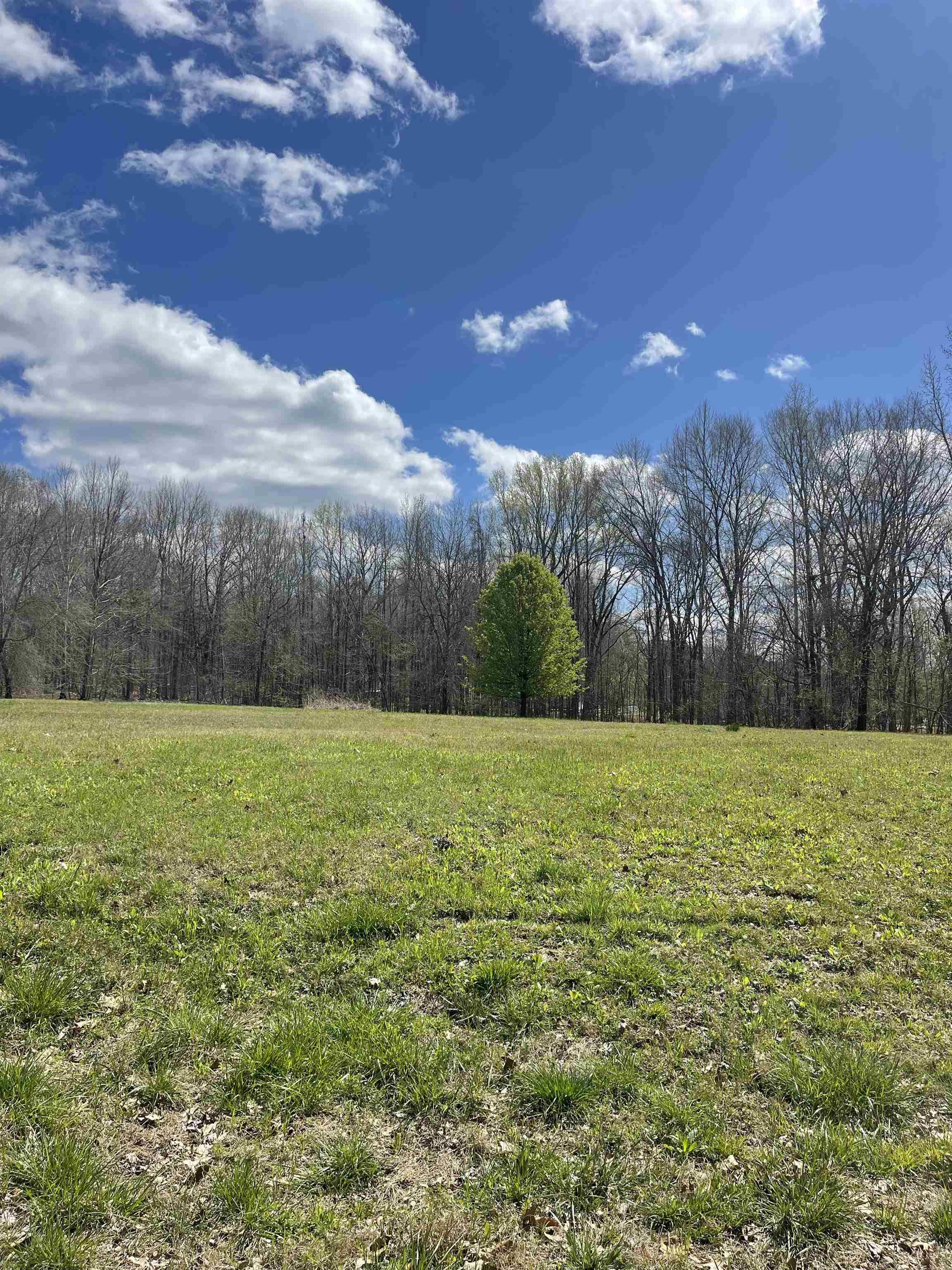 Cordova, TN 38018,555 WOODLAND TRACE LN #Lot 14