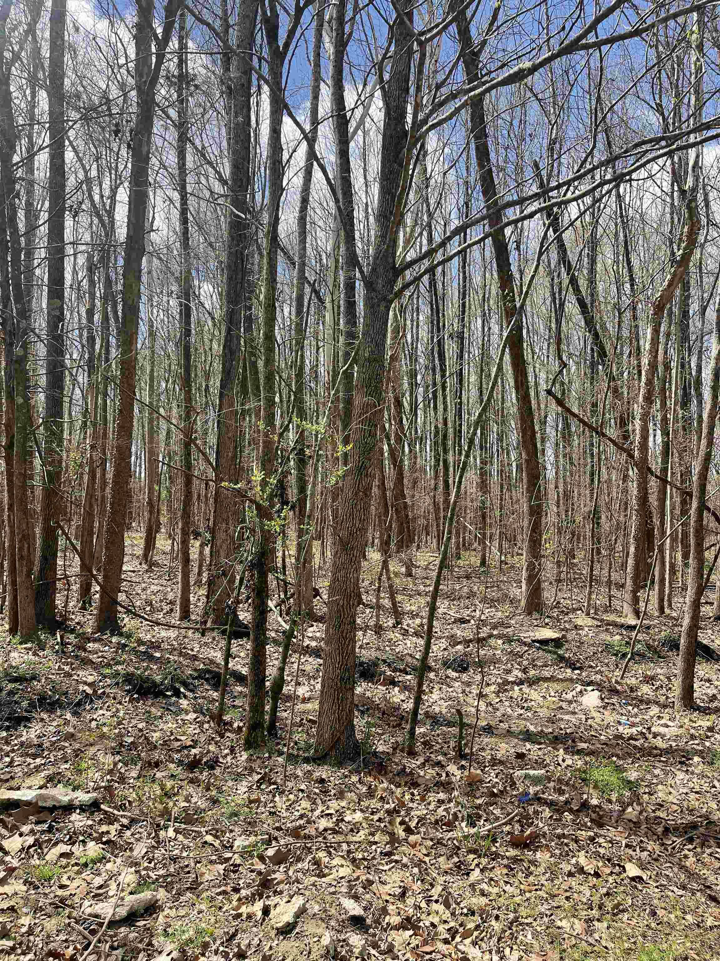 Cordova, TN 38018,555 WOODLAND TRACE LN #Lot 15