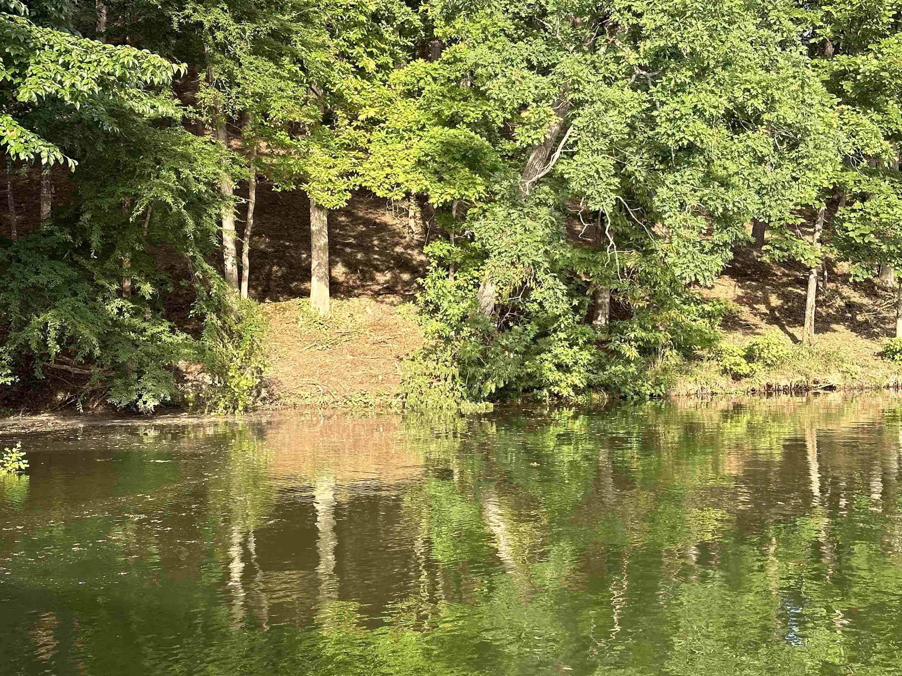 Savannah, TN 38372,174 ARBORWOOD LN