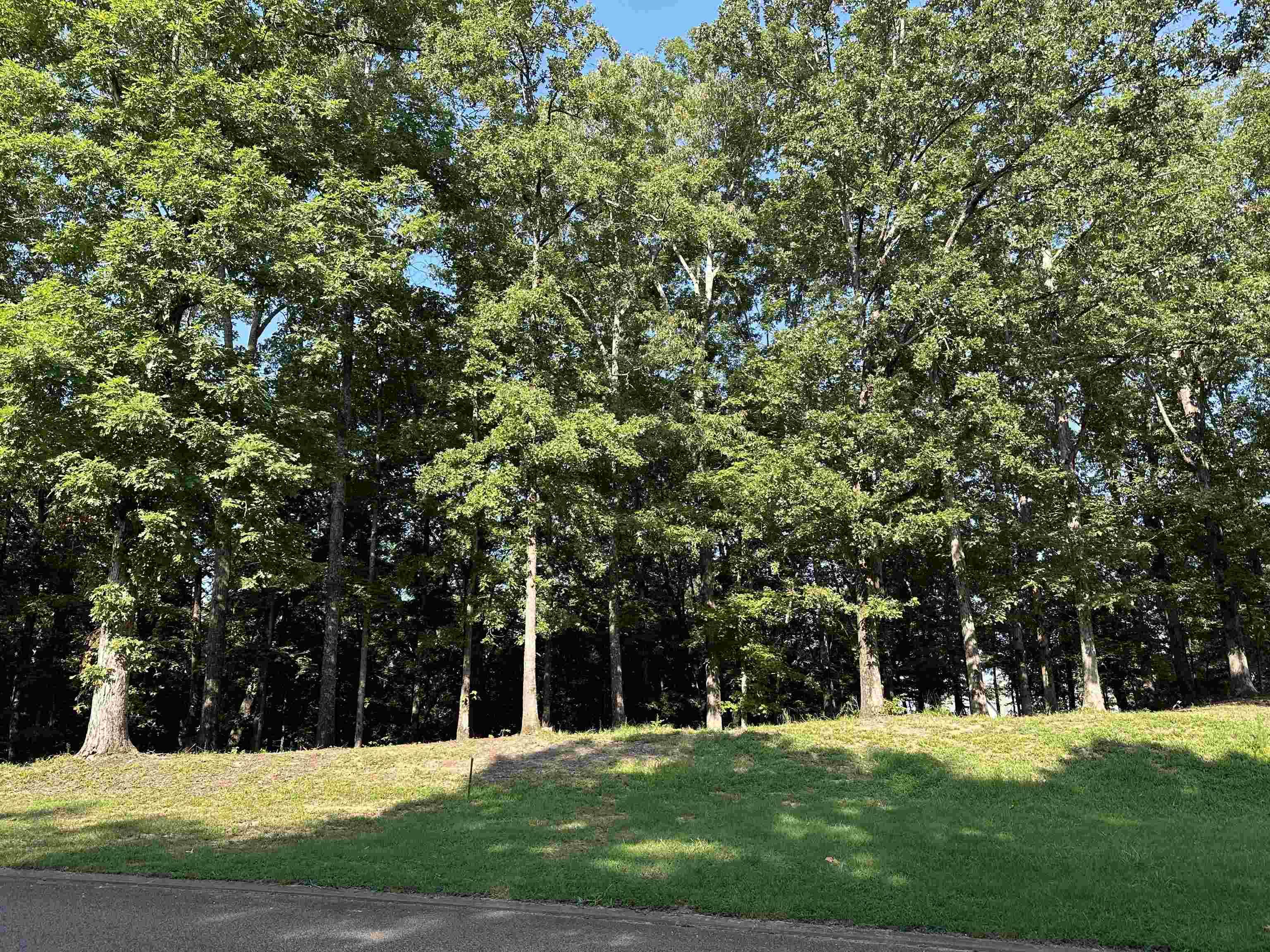 Savannah, TN 38372,94 PRESERVE BLVD