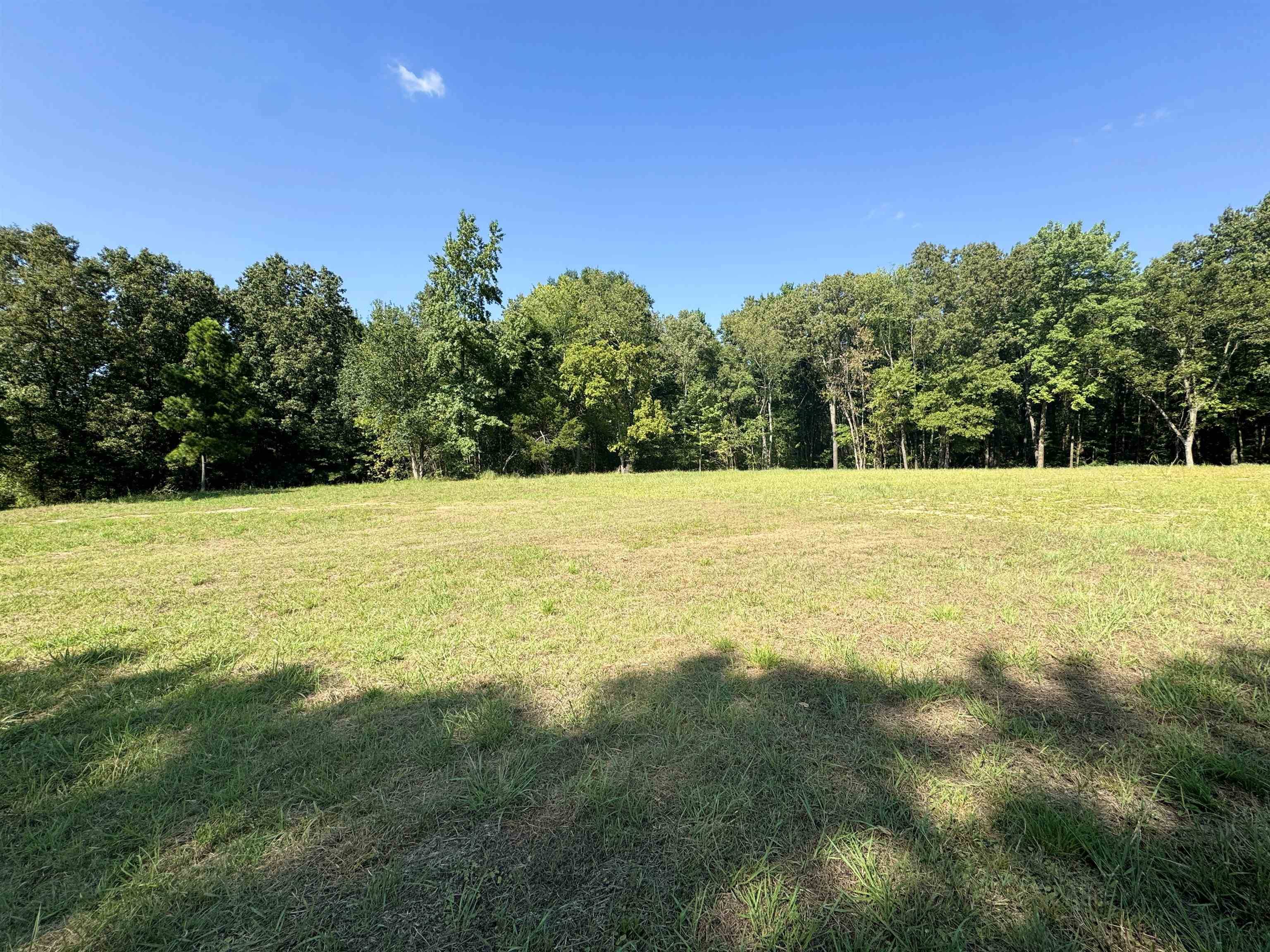 Bartlett, TN 38135,4040 WESTBROOK RD