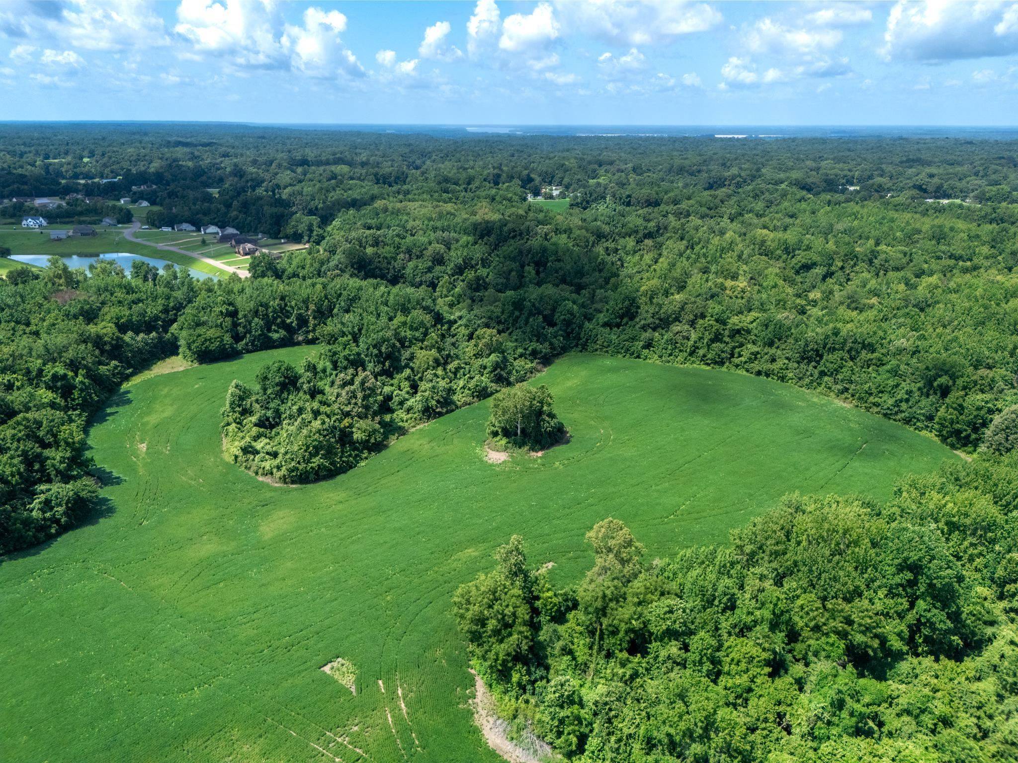 Drummonds, TN 38023,LOT 2 DOLAN RD