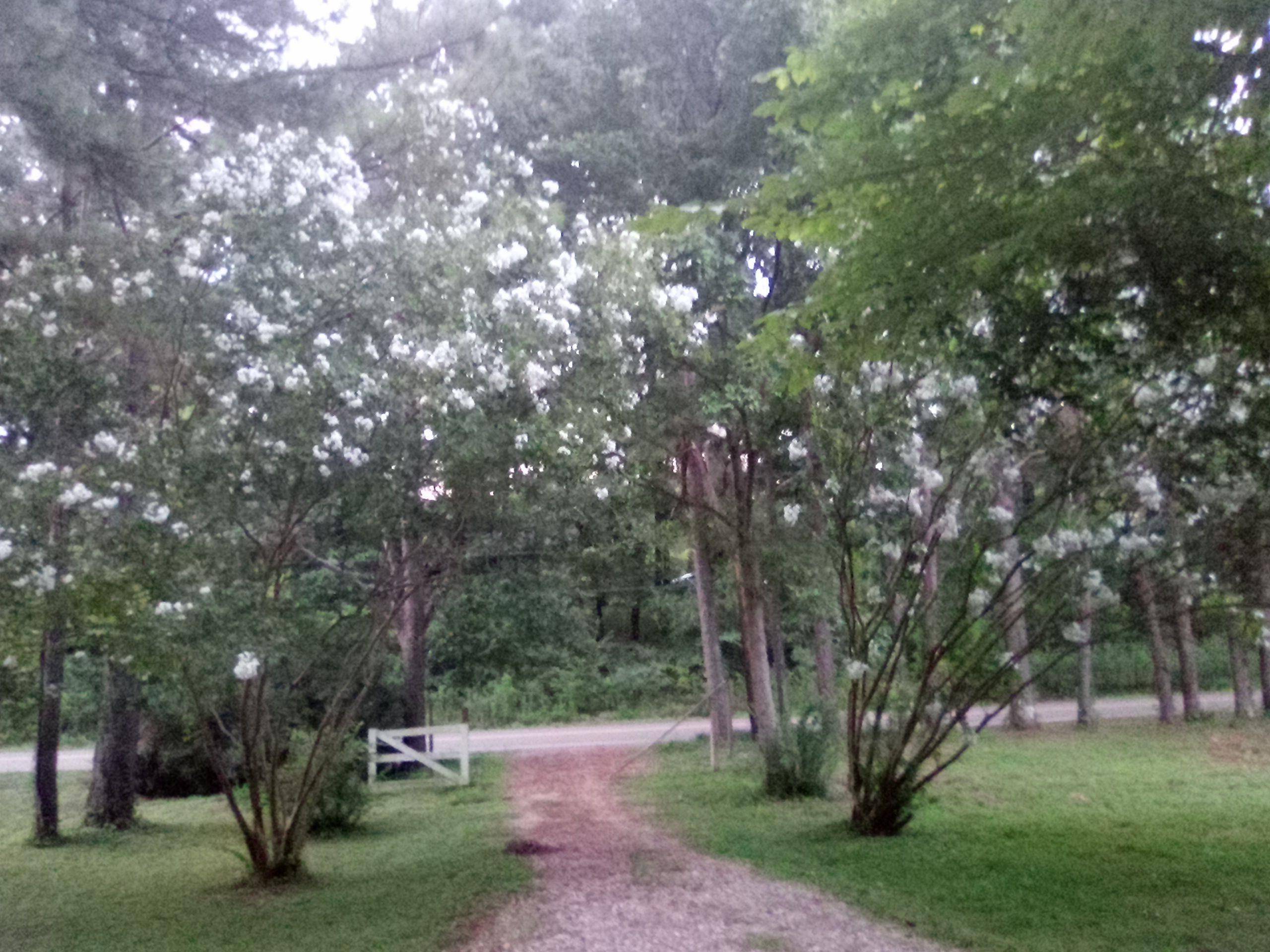 Arlington, TN 38002,7980 PLEASANT RIDGE RD