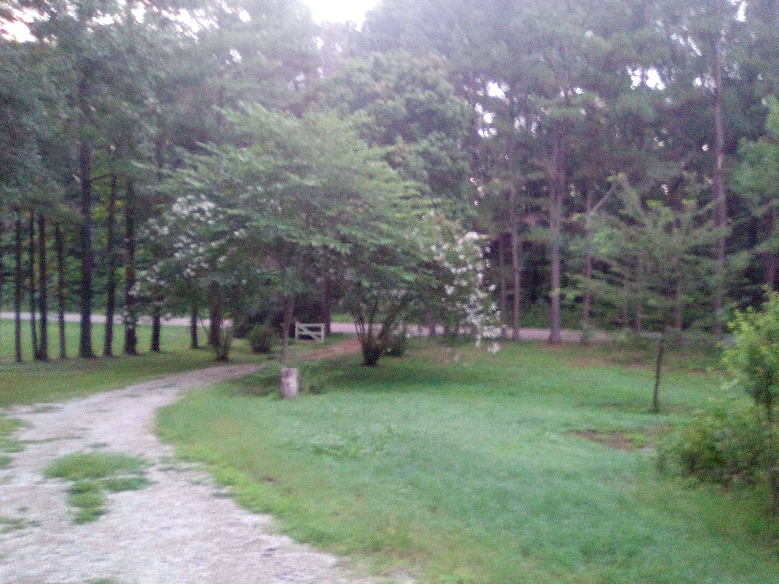 Arlington, TN 38002,7980 PLEASANT RIDGE RD