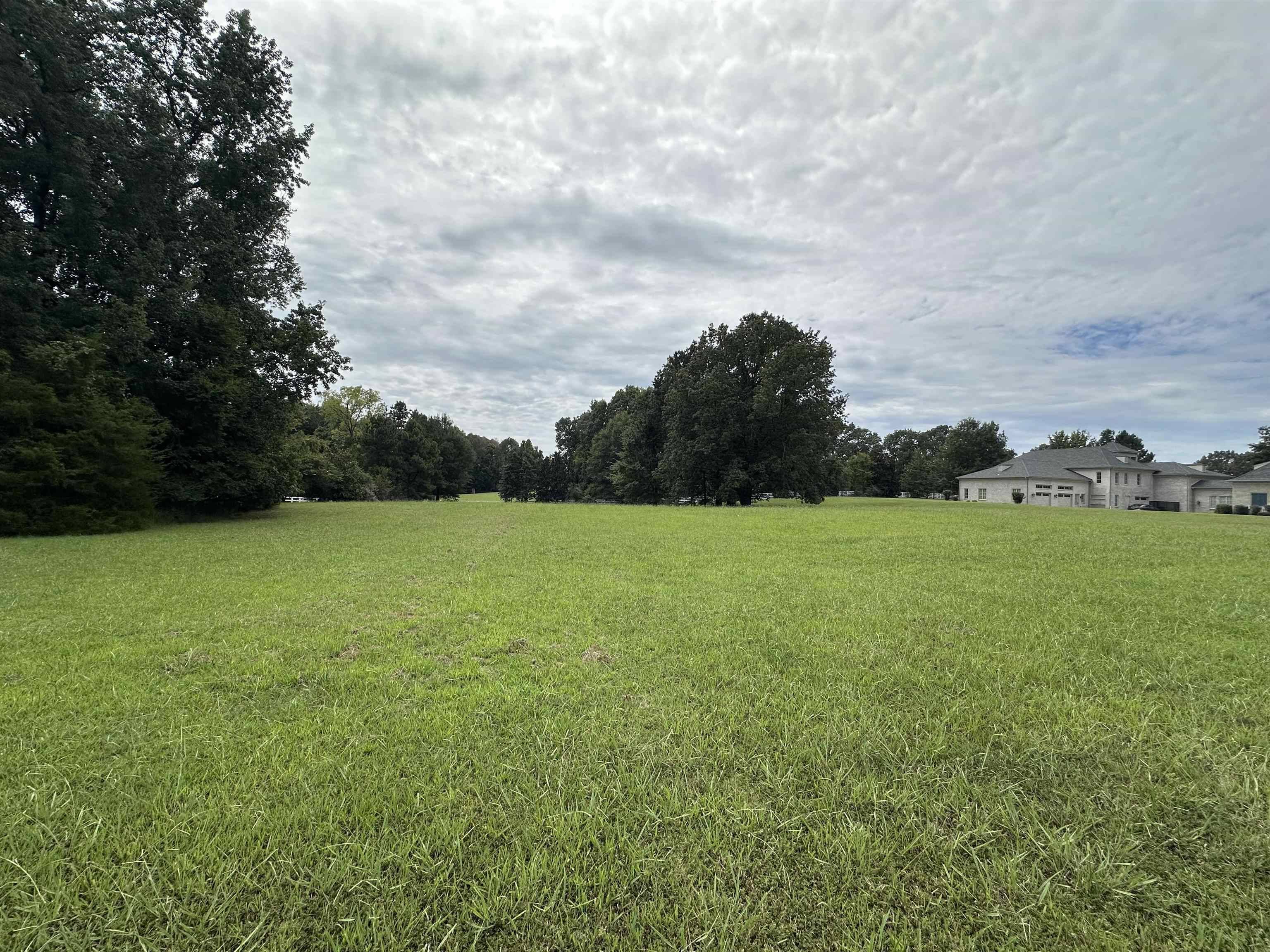 Eads, TN 38028,530 LEXINGTON MANOR LN #lot 29