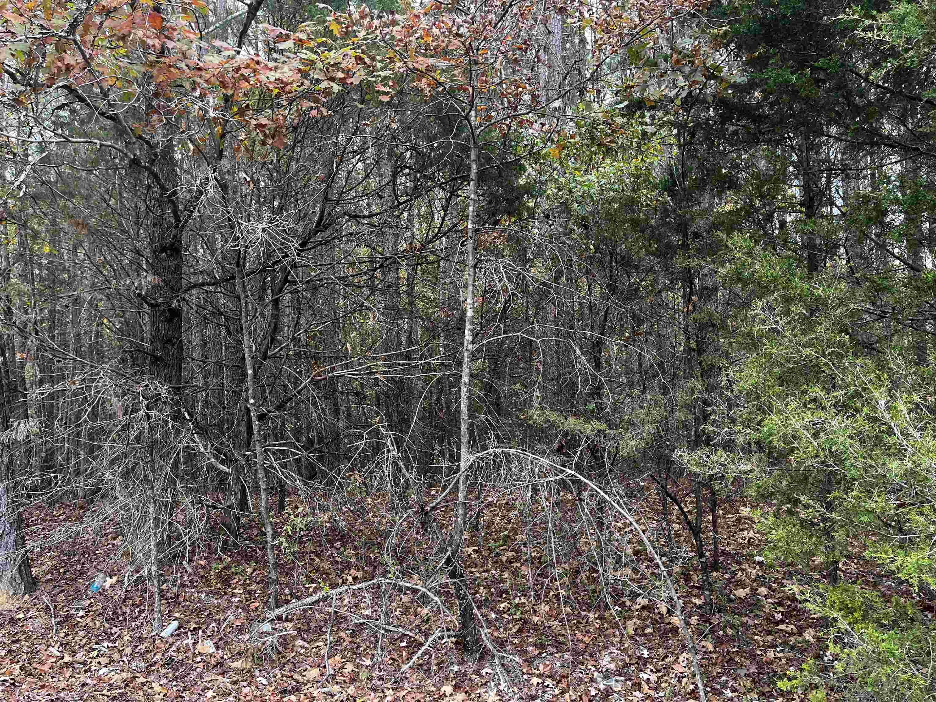 Bethel Springs, TN 38315,900 MASEYVILLE RD RD N