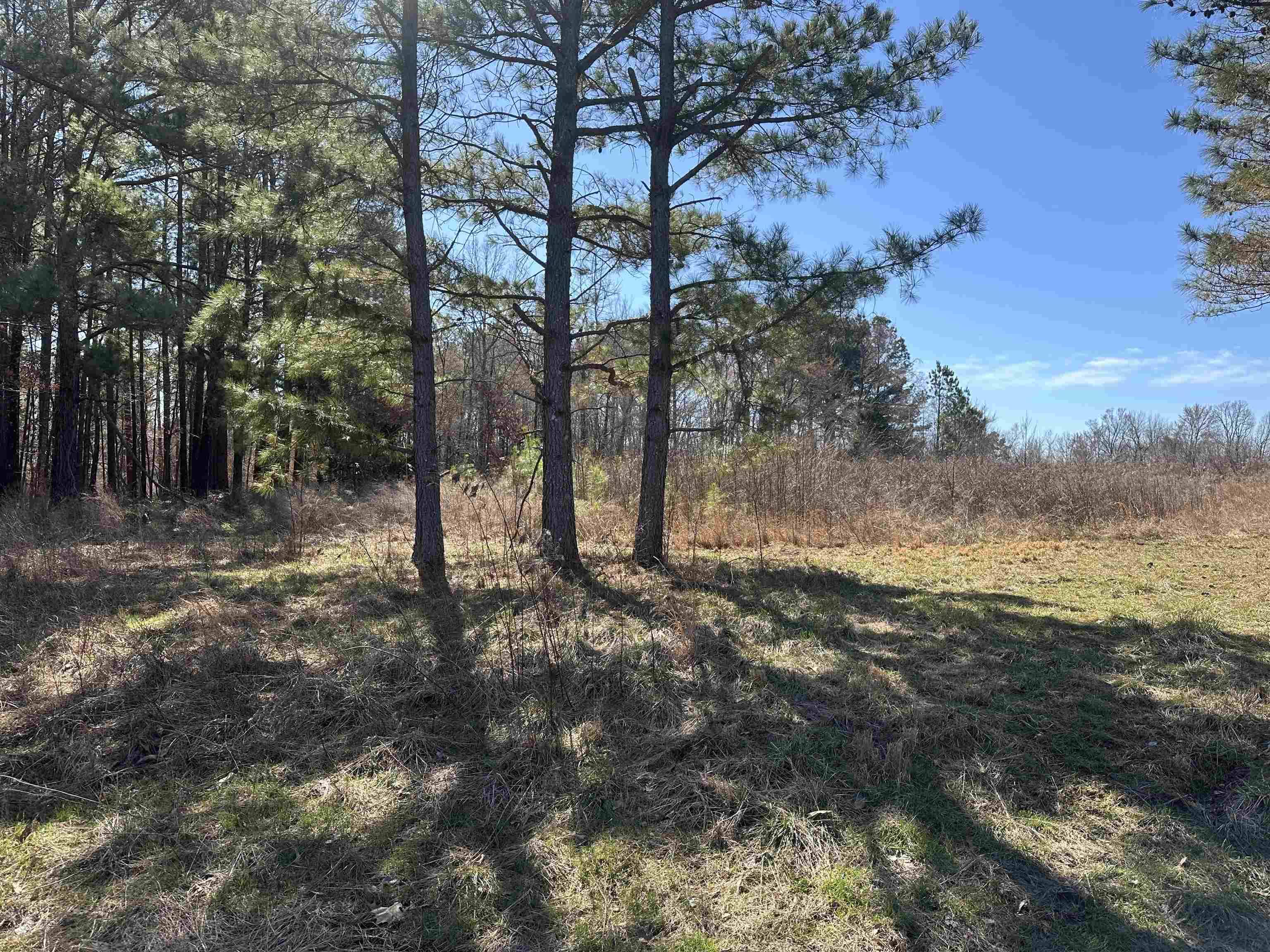 Somerville, TN 38068,3205 BLALOCK DR