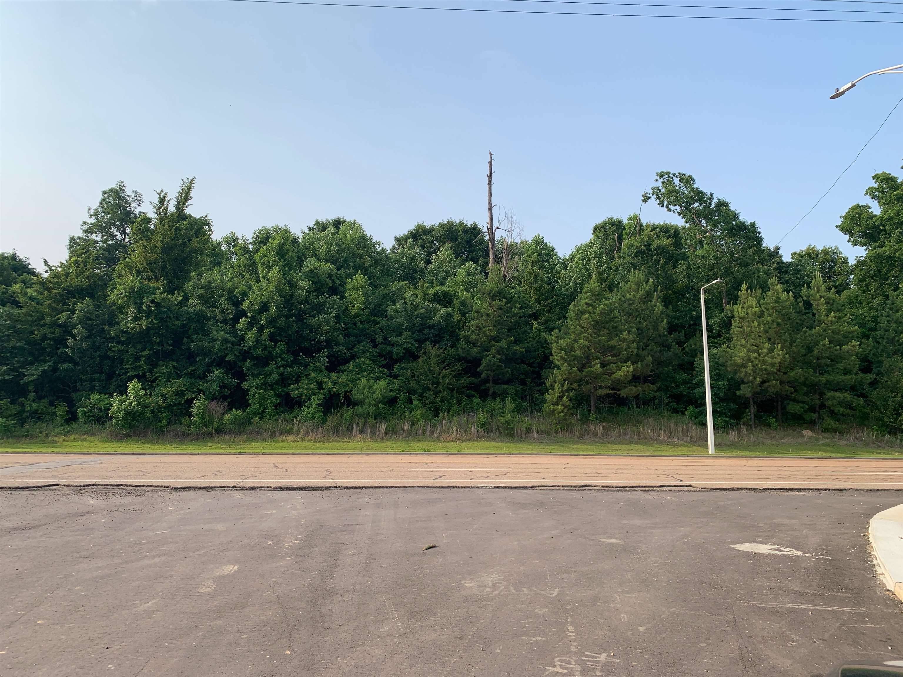 Arlington, TN 38002,0 MILTON WILSON RD