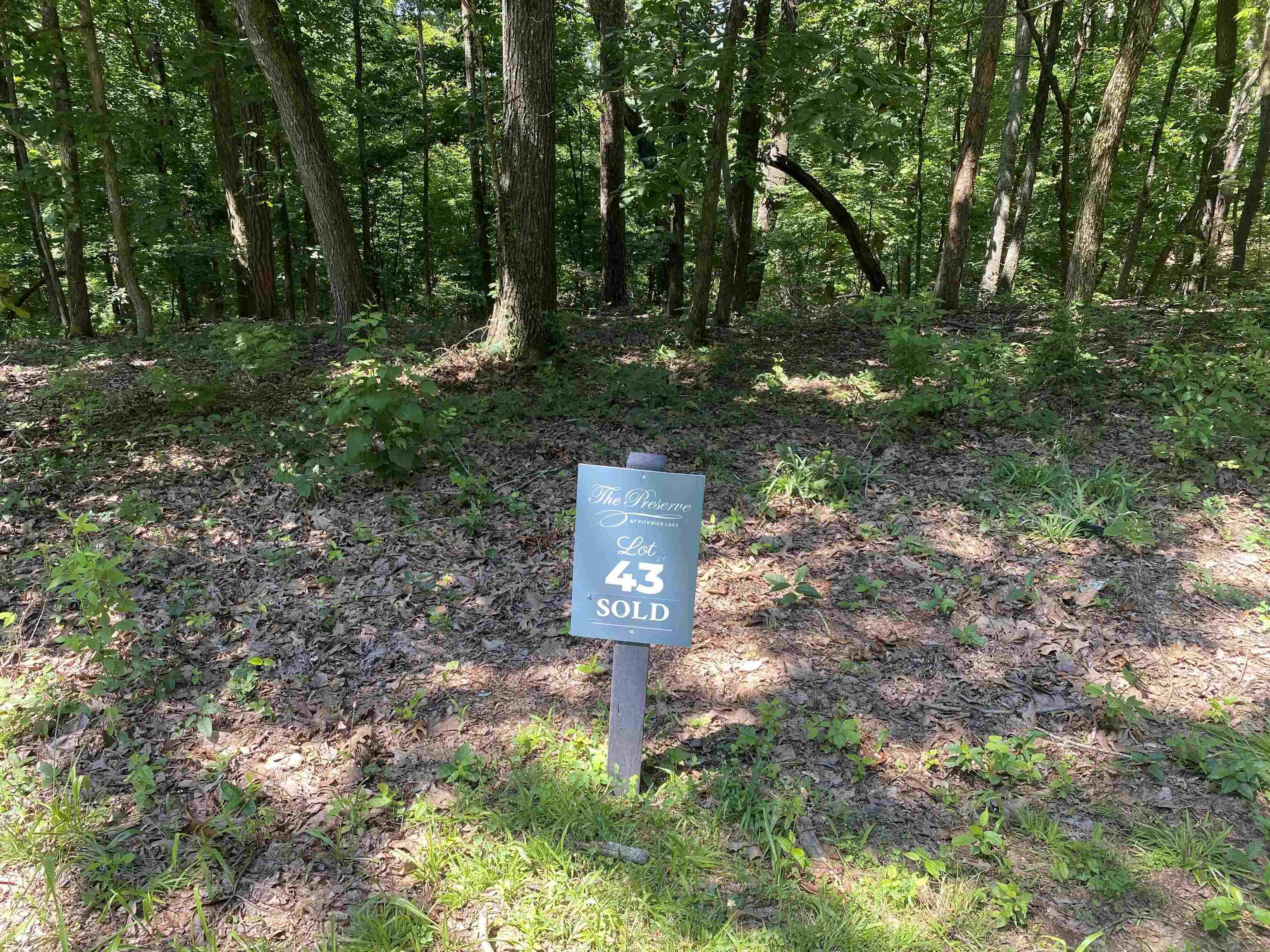 Savannah, TN 38372,43 BREATHTAKING LOOP