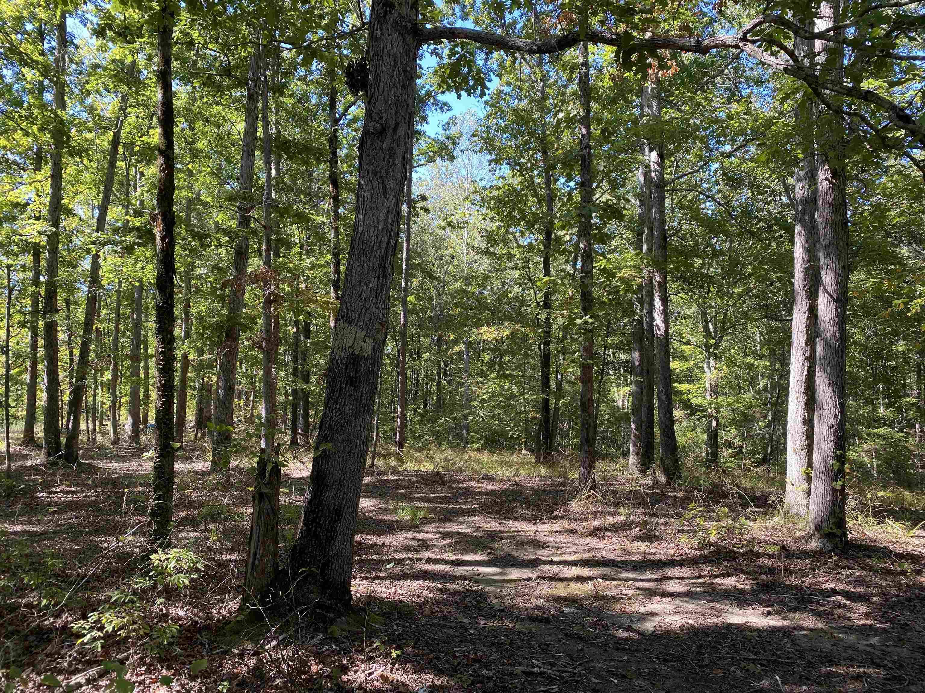 Savannah, TN 38372,1 LAKEWAY LN