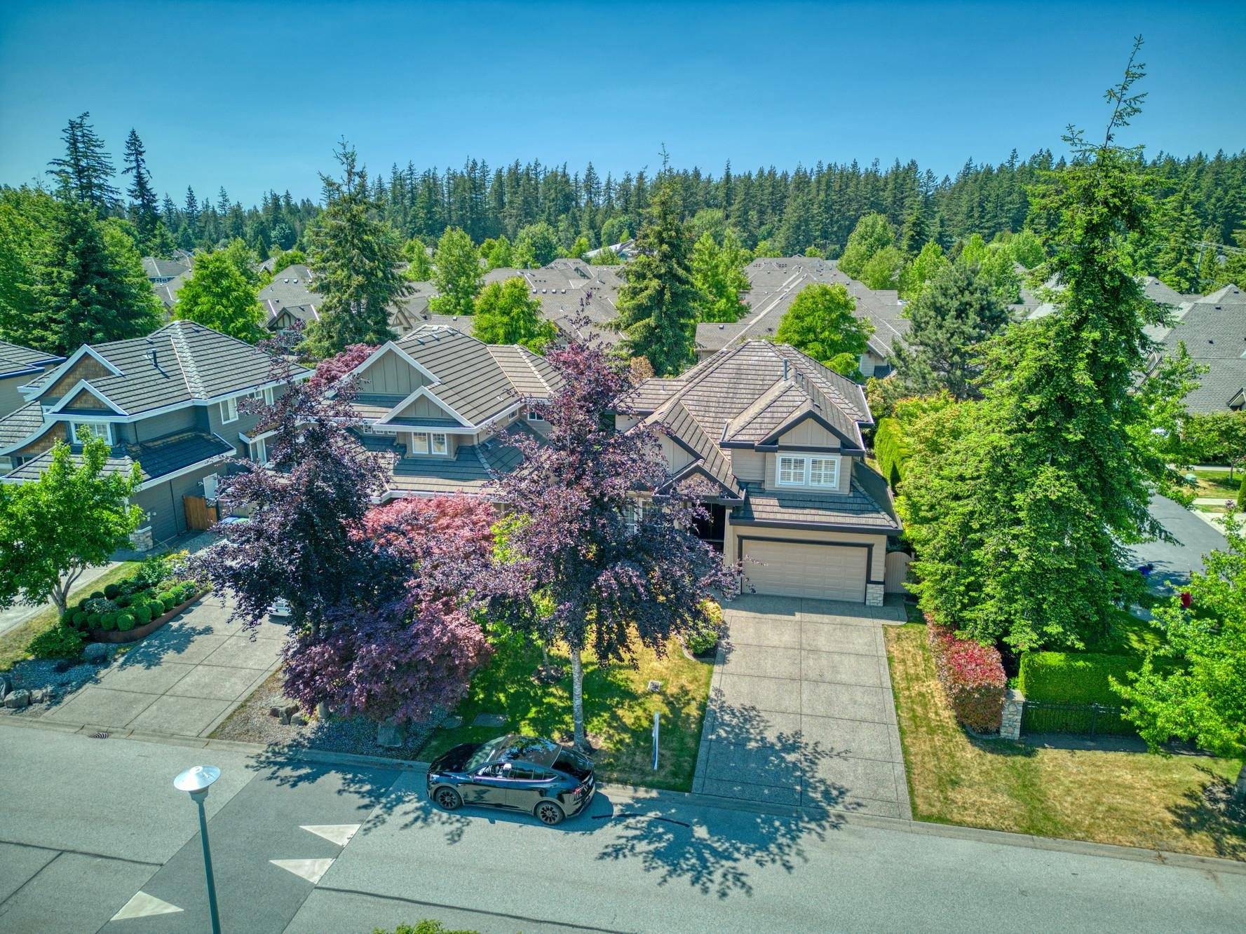 Surrey, BC V4A 9X1,2377 150 ST