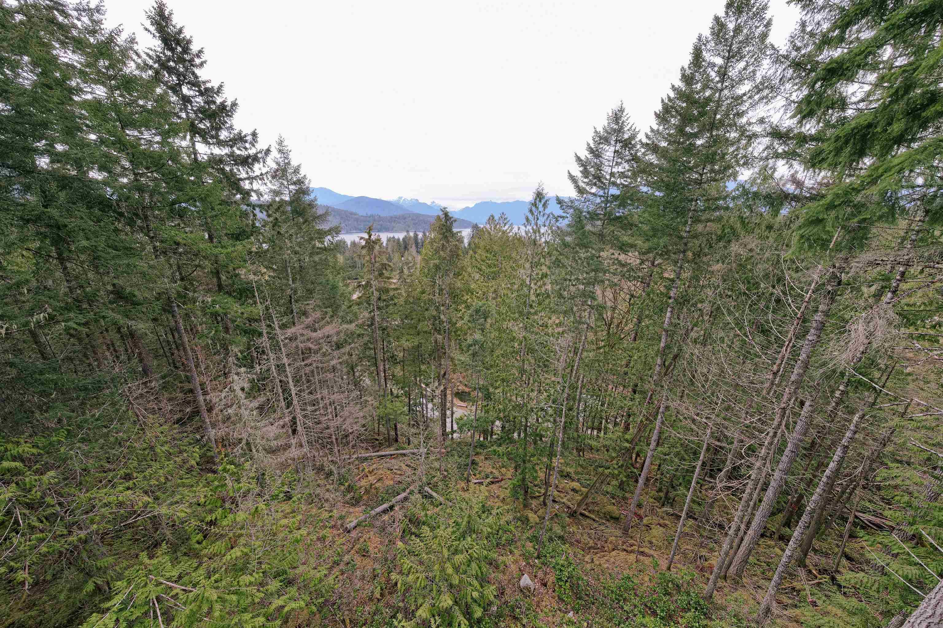 Egmont, BC V0N 2H4,Lot 66 GREENTREE RD