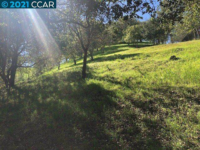 Walnut Creek, CA 94597,43 Cuesta WAY