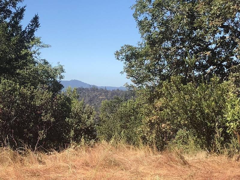 Boulder Creek, CA 95006,0 Conley CRK