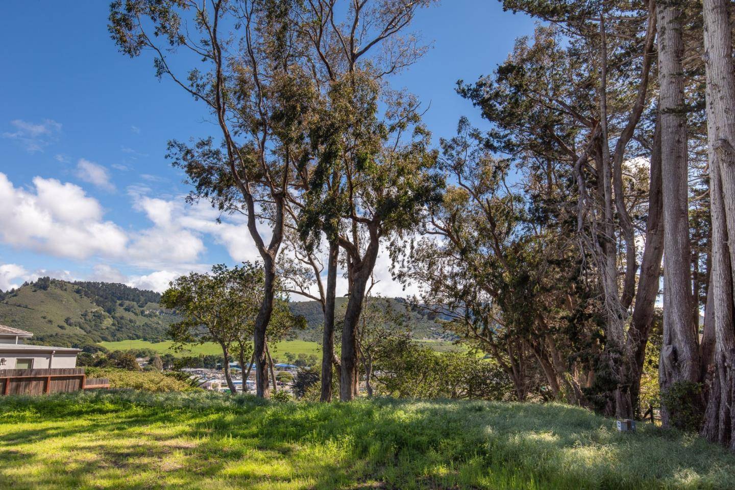 Carmel, CA 93923,3528 Lazarro DR